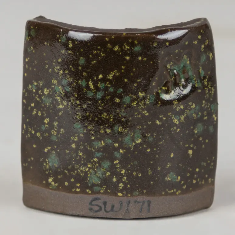 Enchanted Forest Dark Clay