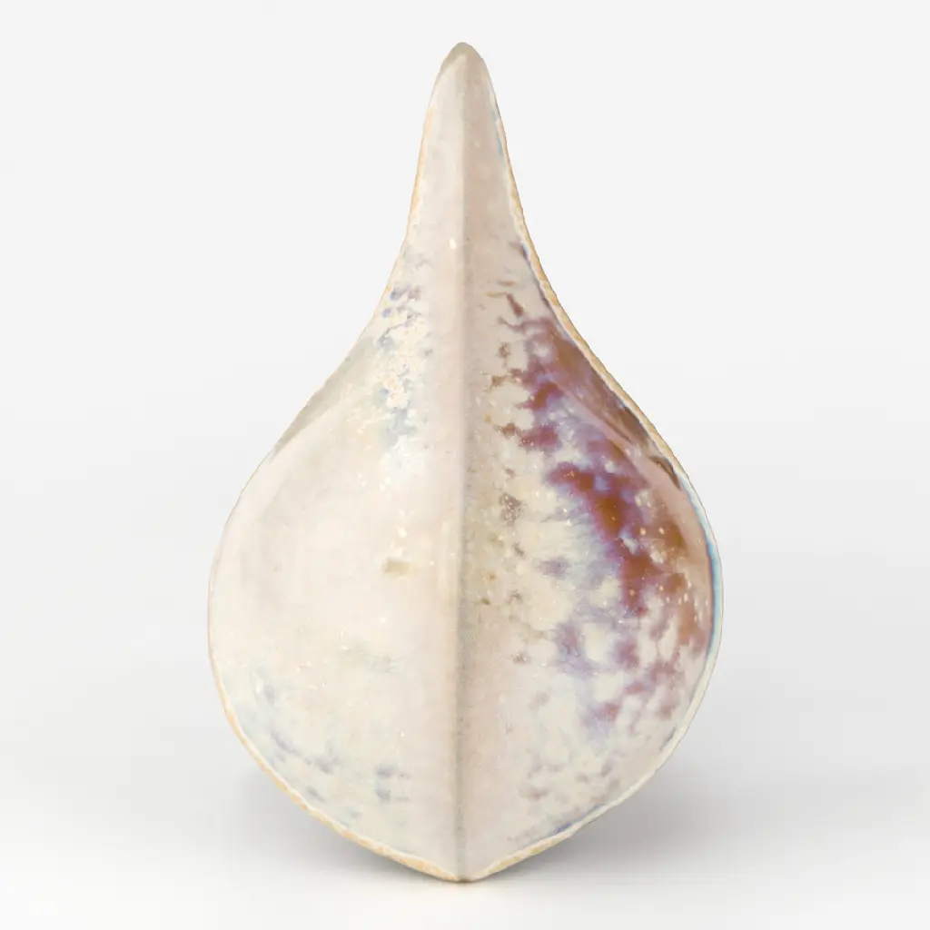 Sand Dollar Soda Fired