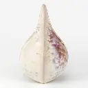 Sand Dollar Soda Fired