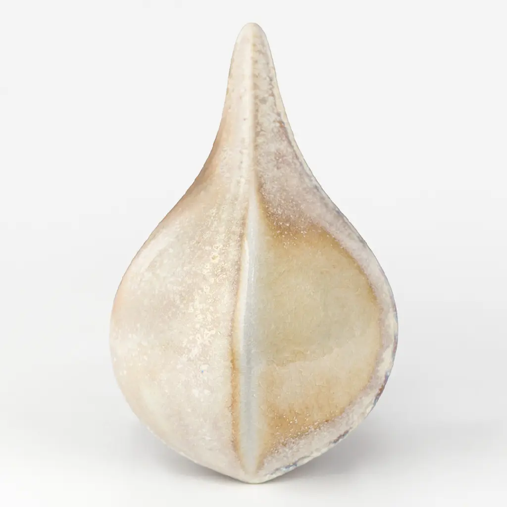 Sand Dollar Wood Fired